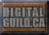 member of the Digital Guild of Canada